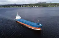 מוביל בתפזורת למכירה