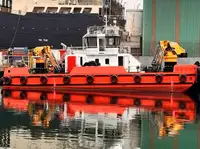 רַב תָכלִיתִי למכירה