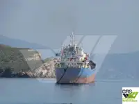 מוביל בתפזורת למכירה