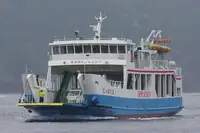 ספינת RORO למכירה