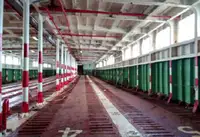 ספינת RORO למכירה