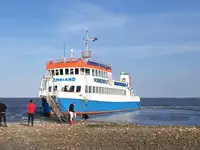 כלי מנוע למכירה